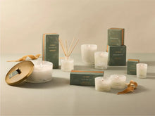 Load image into Gallery viewer, Frasier Fir Tidings Boxed Candl