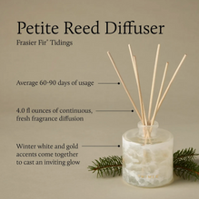 Load image into Gallery viewer, Frasier Fir Tidings Petite Di
